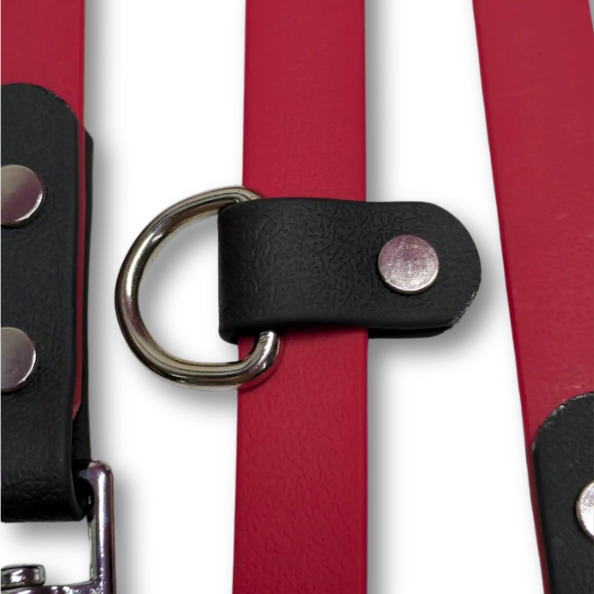 Correa multifuncional multiposición para perros de biotano PVC impermeable