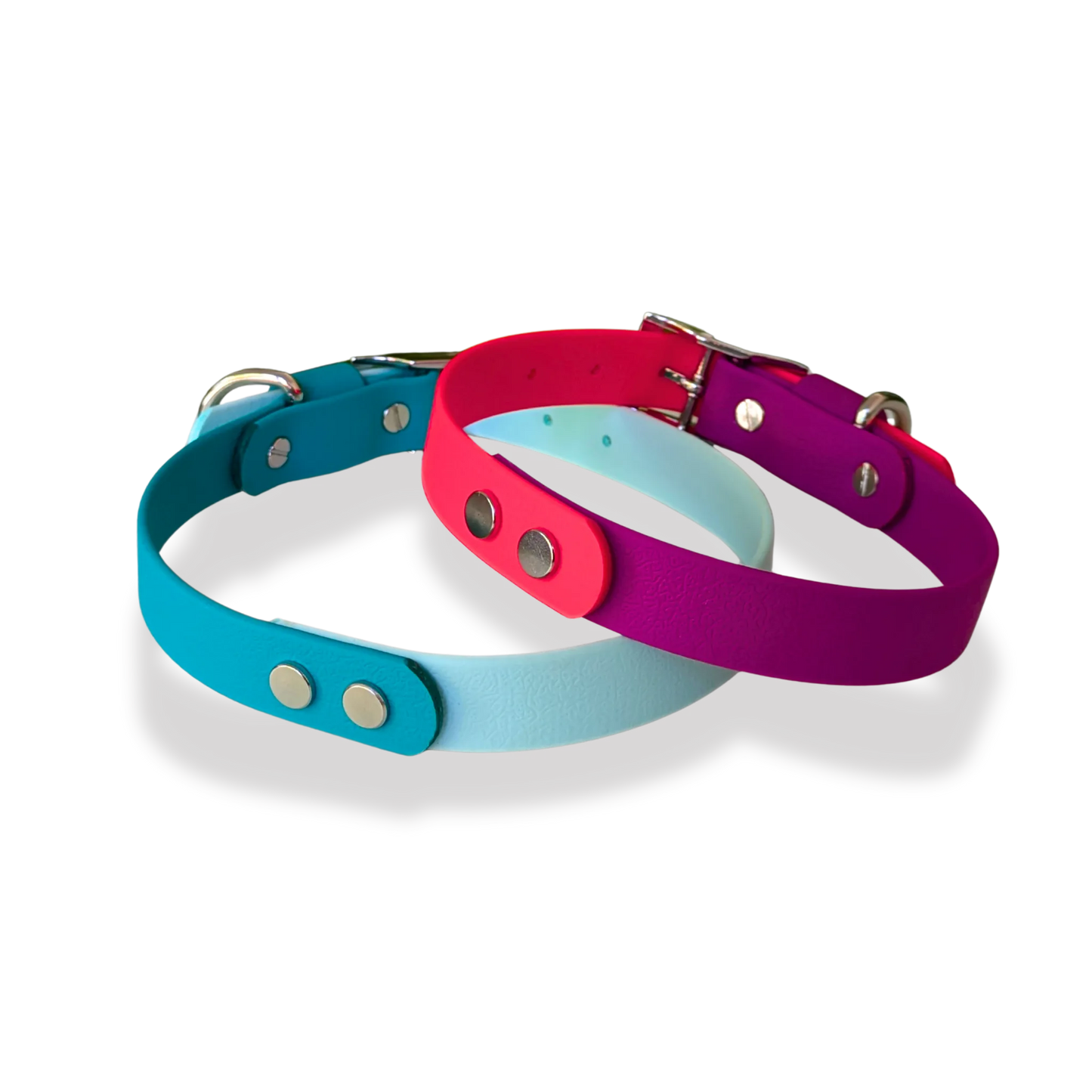 Collar Bicolor