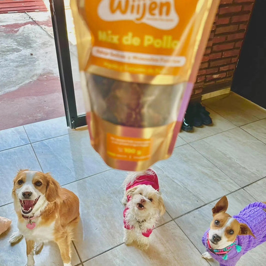 Fotografía de tres perros disfrutando del premios de hígado y corazón de pollo
