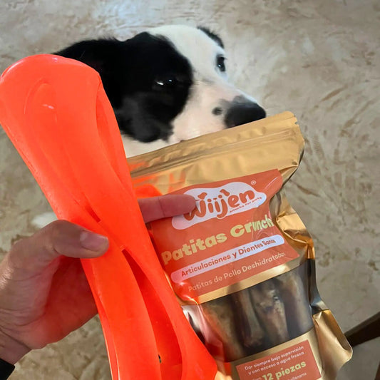 Foto de perro con bolsa de patitas de pollo como carnaza