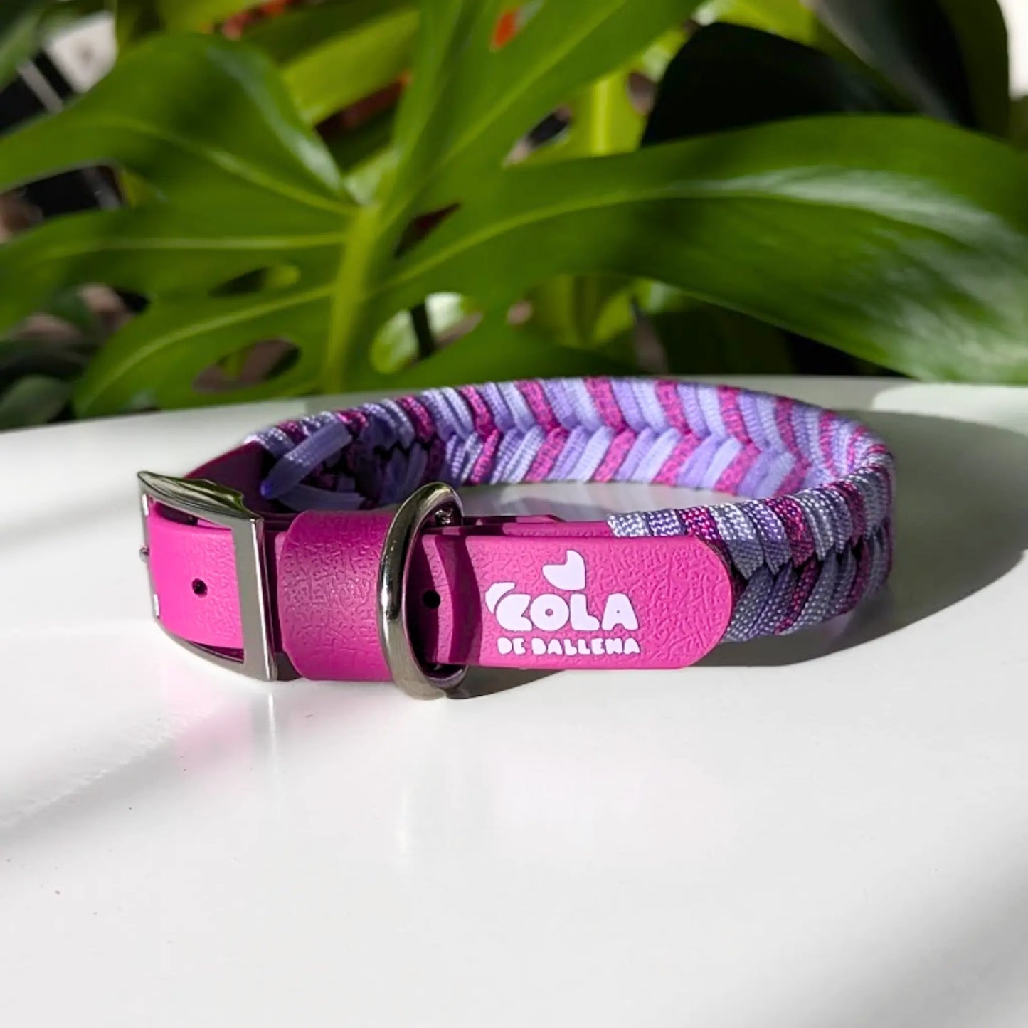 Collar Flapys Tejido