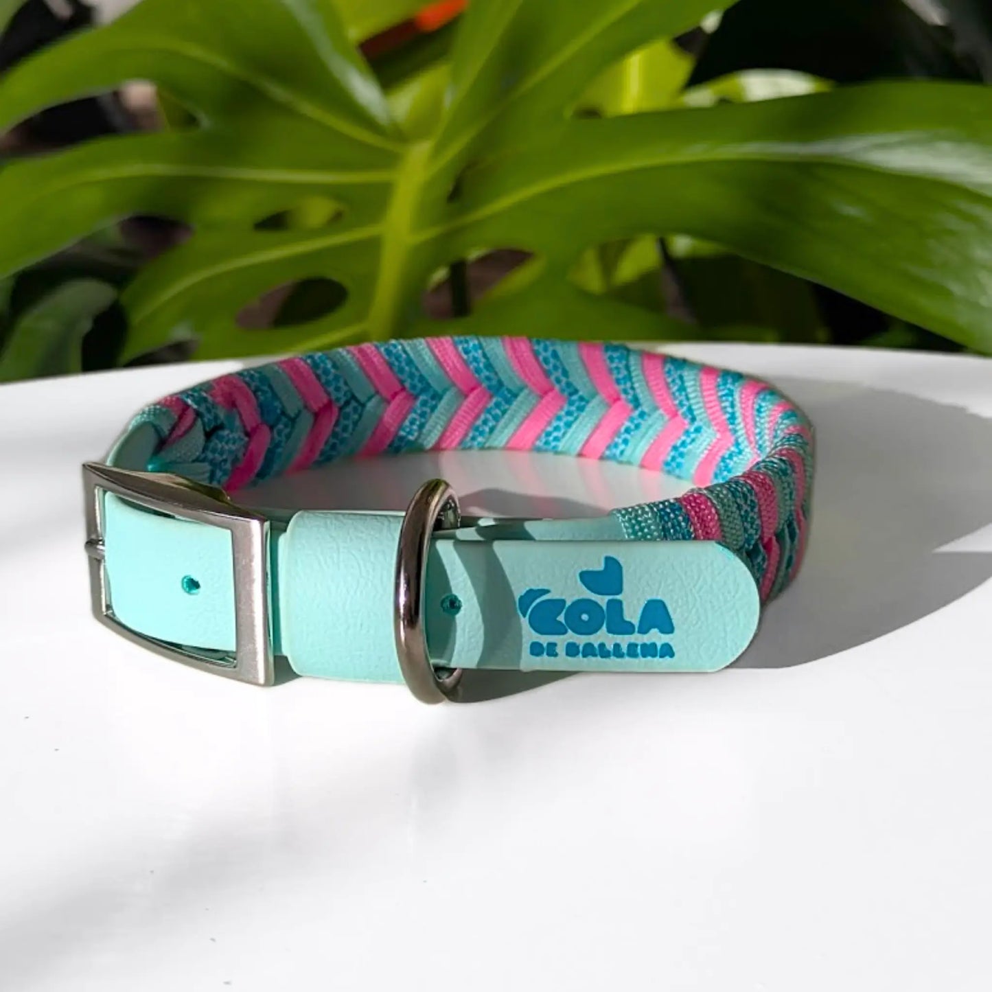 Collar Flapys Tejido