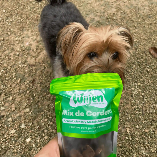 Perro disfrutando de Mix de Cordero