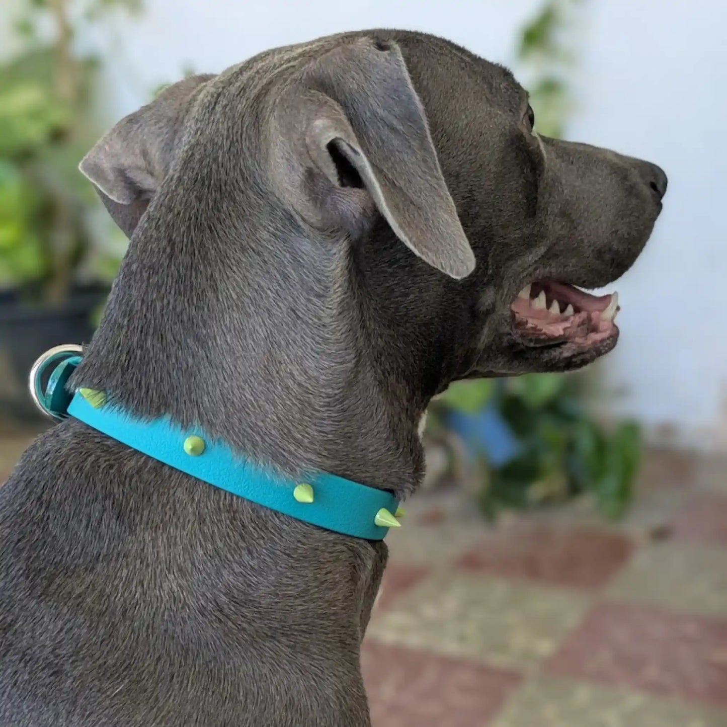 Collar Rudo y Cursi