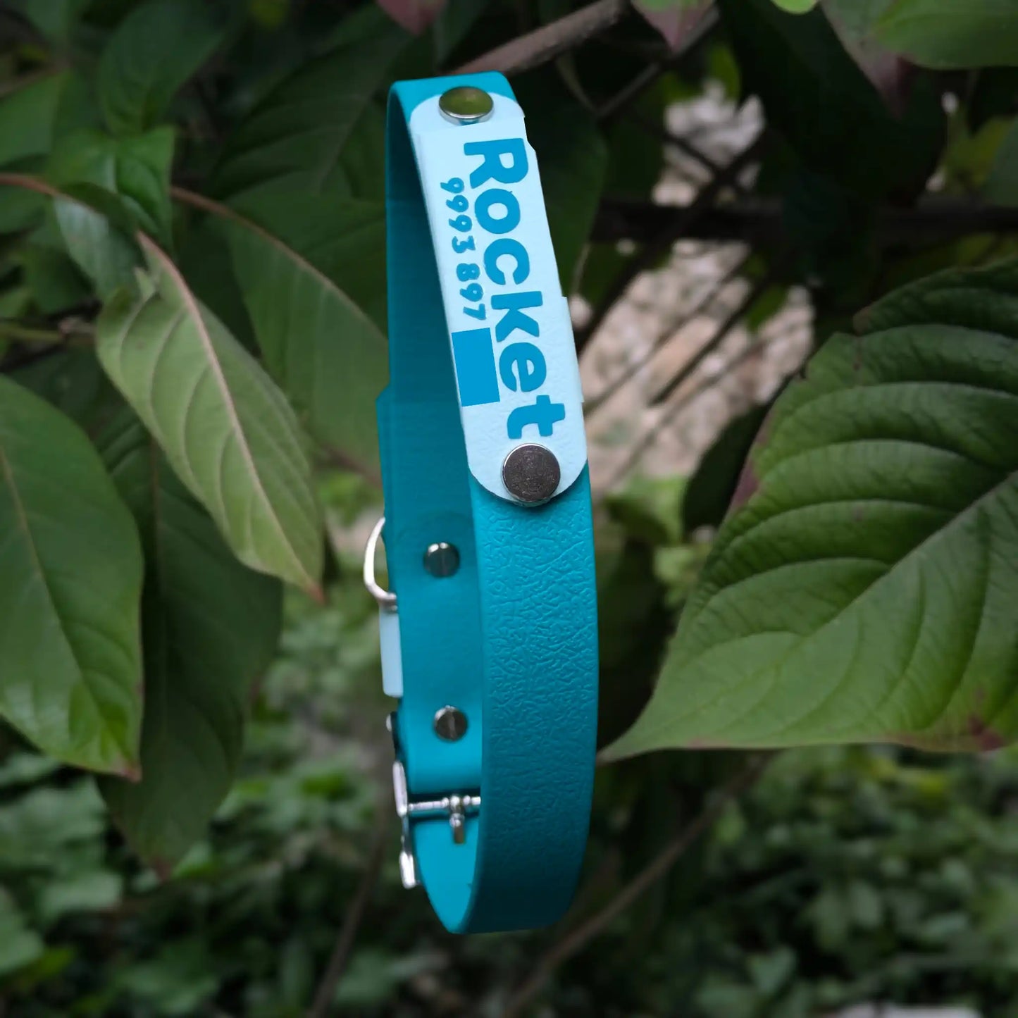 Collar Esencial