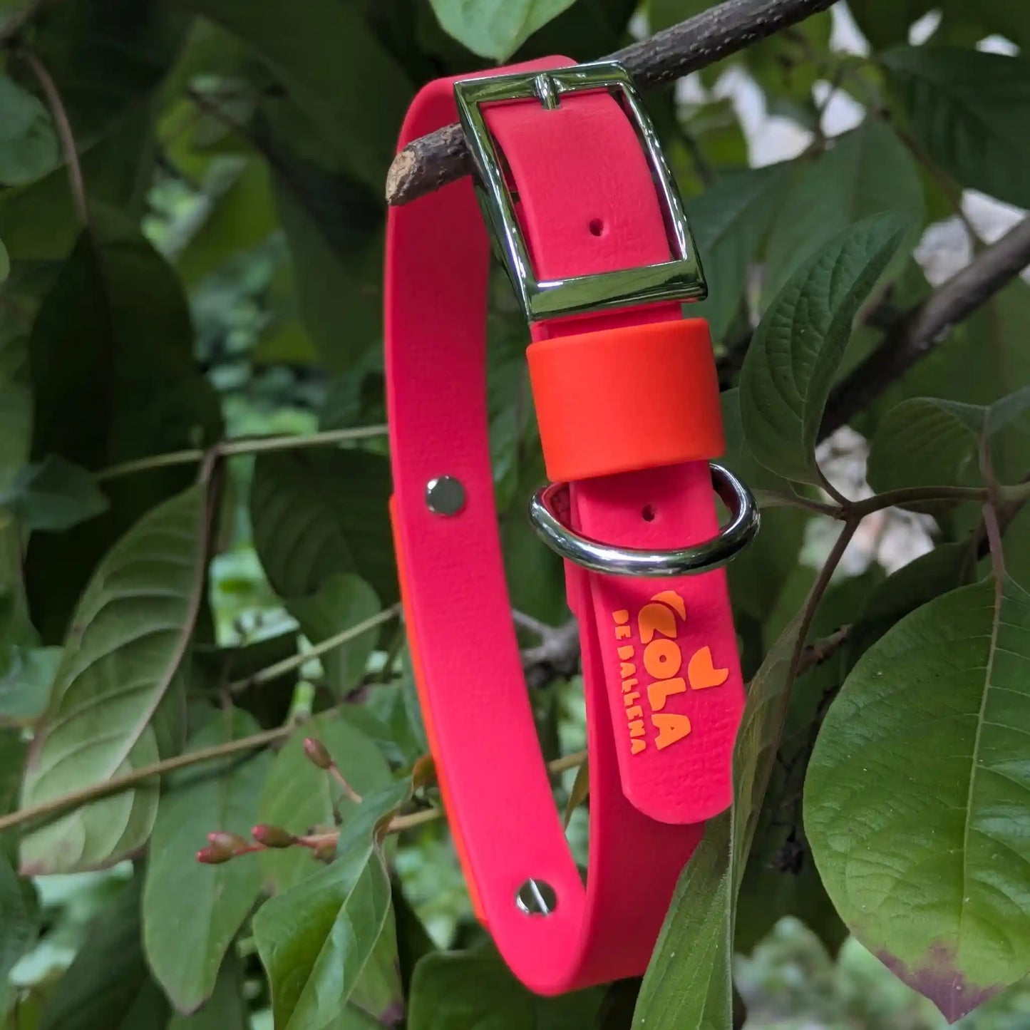 Collar Esencial