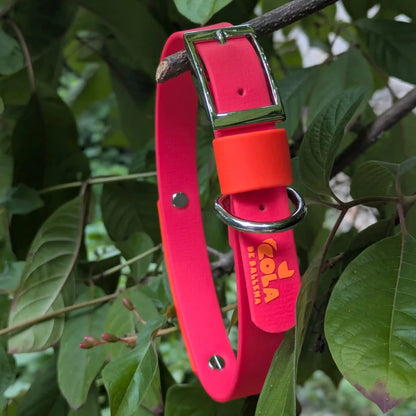 Collar Esencial