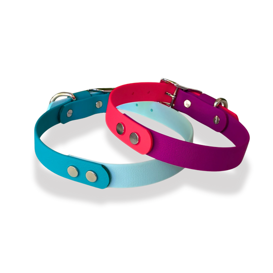 Collar Bicolor