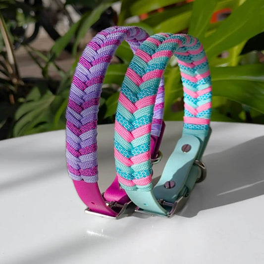 Collar Flapys Tejido