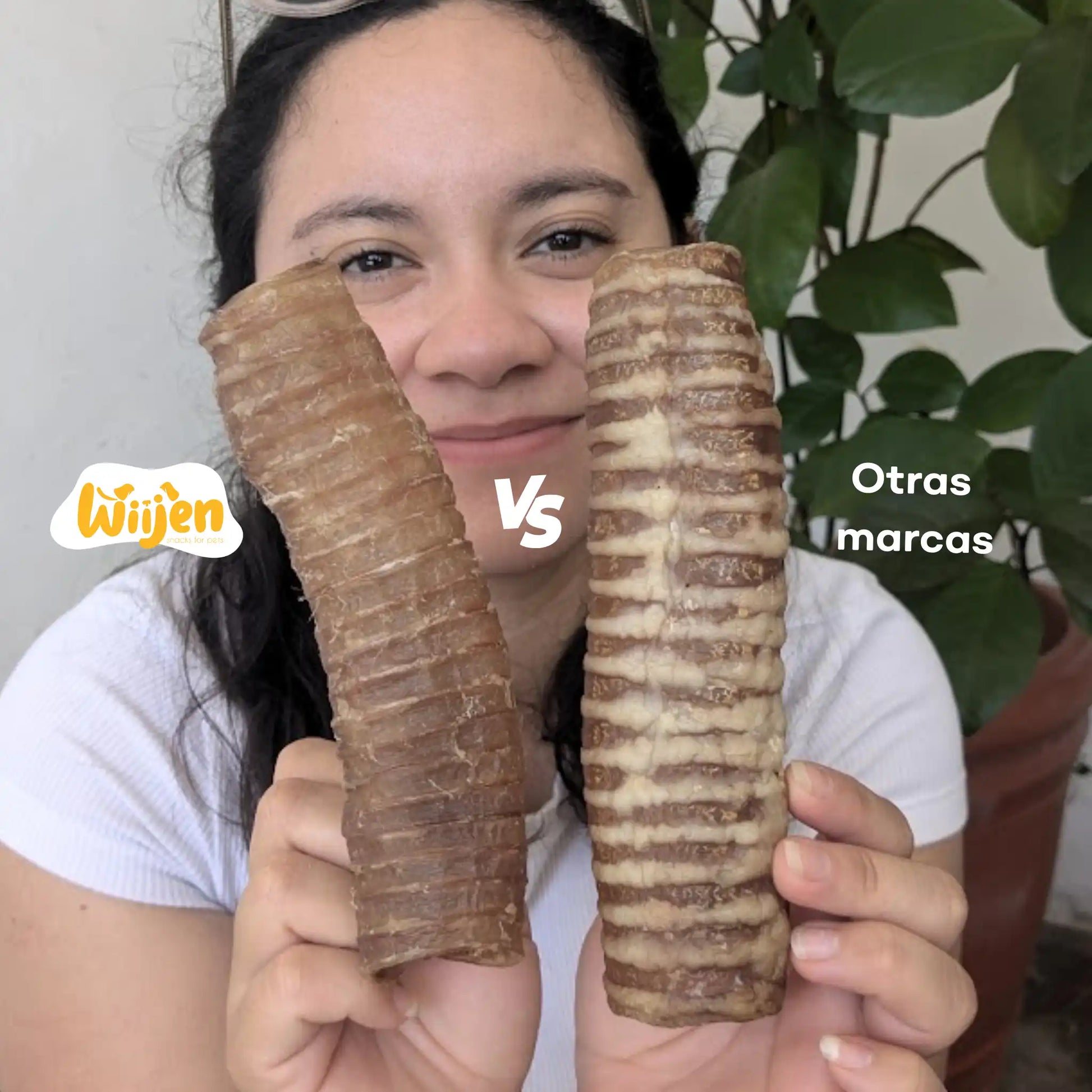 Tráquea de res de wiijen vs otras marcas