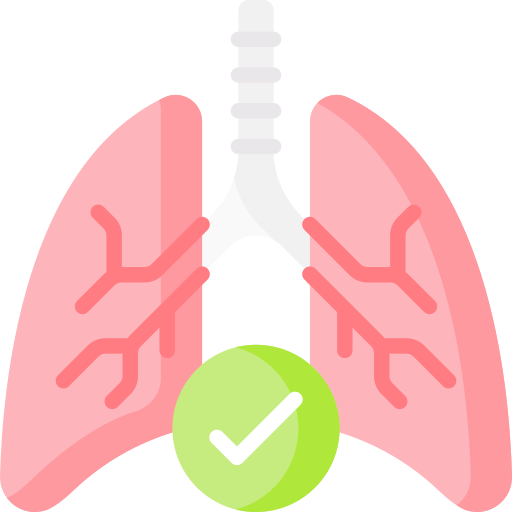 Sistema Respiratorio